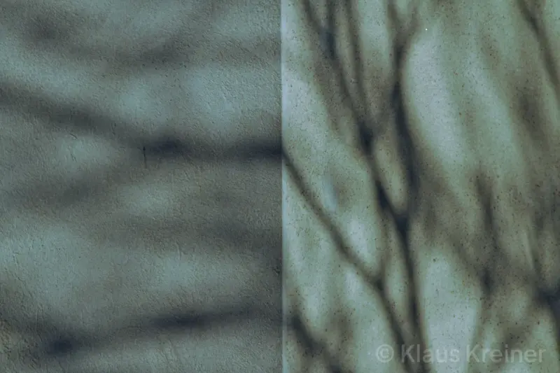 Anfang Dezember 2017 in Berlin: Auf zwei Hauswänden eines Hinterhofes ist der Schattenwurf eines Baums zu sehen.