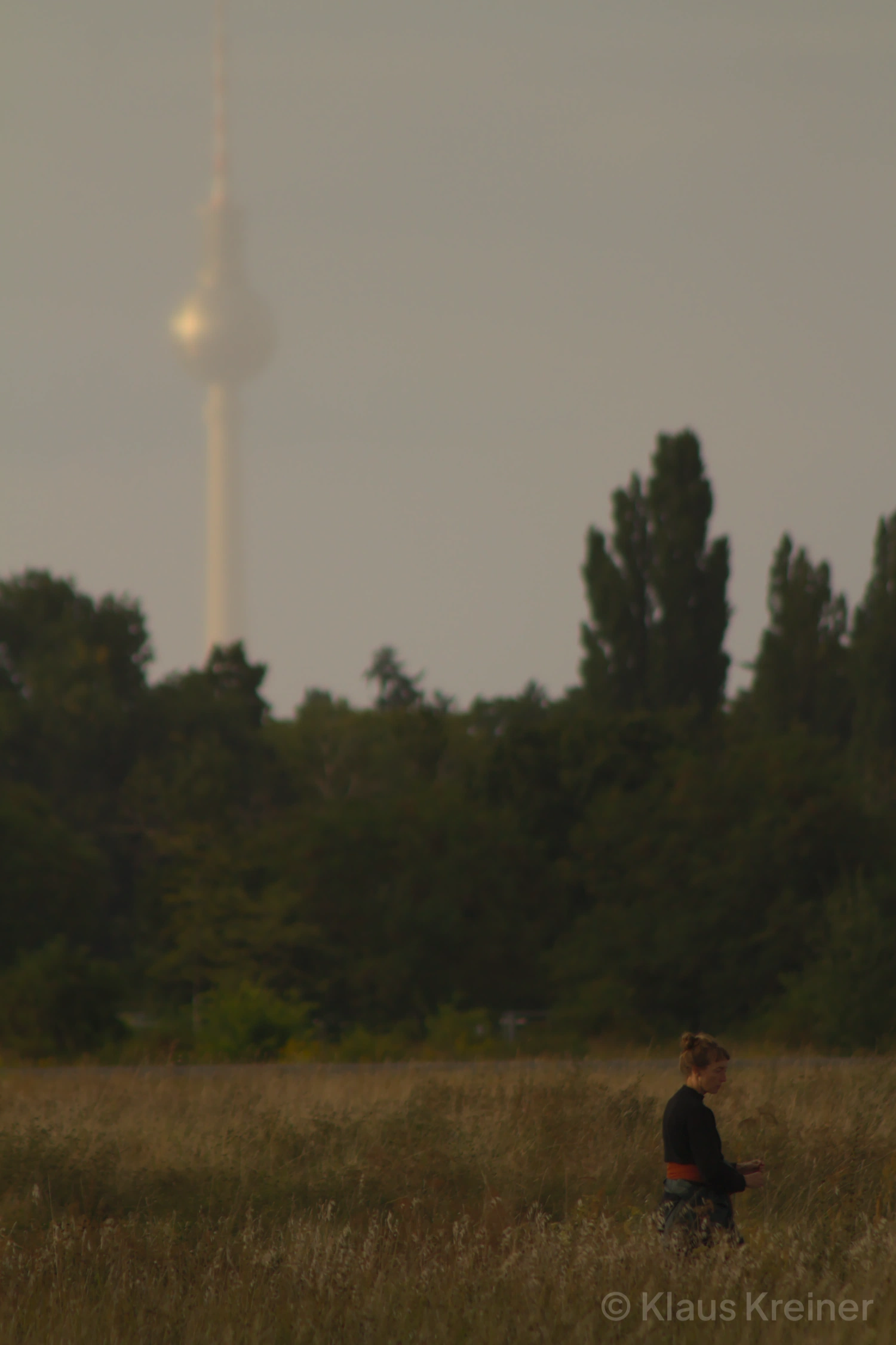 Ende August 2021 in Berlin: Eine Frau pflückt Blumen auf dem Tempelhofer Feld. Im Hintergrund ist der Fernsehturm zu sehen.