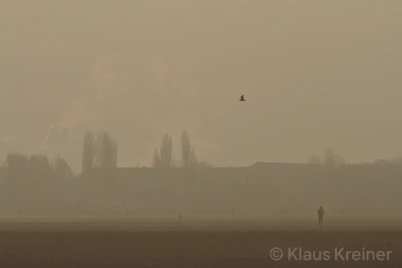 Ende Januar 2019 in Berlin: Eine Person läuft an einem frühen Wintermorgen im Nebel über das Tempelhofer Feld.