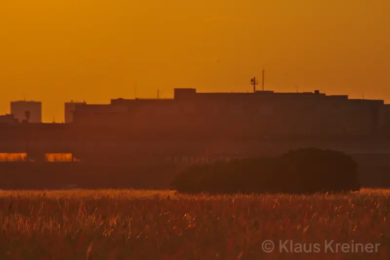 Mitte Juni 2019 in Berlin: Das Feld und im Hintergrund das ehemalige Flughafengebäude im sommerlichen Abendrot.