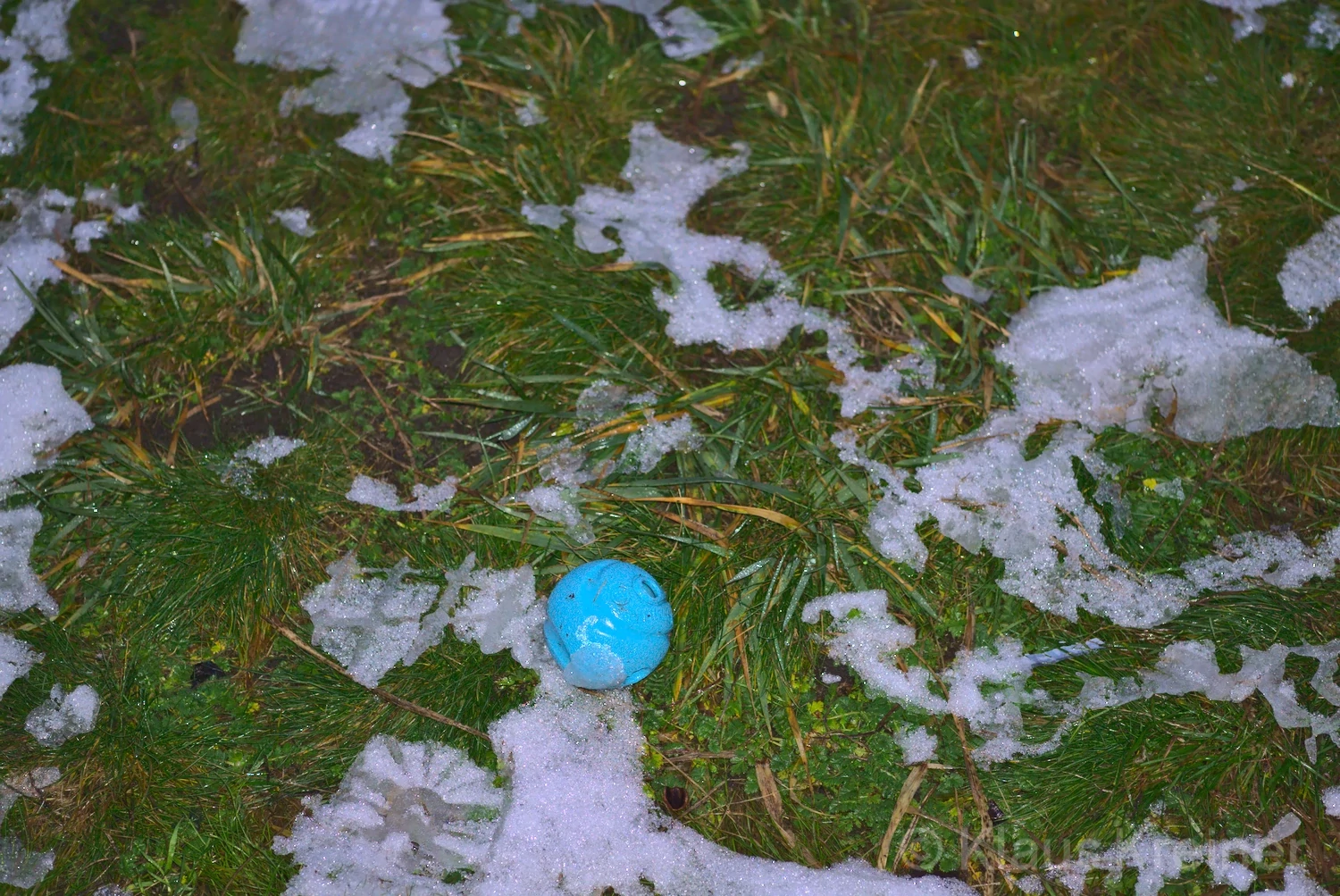 Ein blauer Wurfball im Wechsel von Schneematsch und grüner Wiese