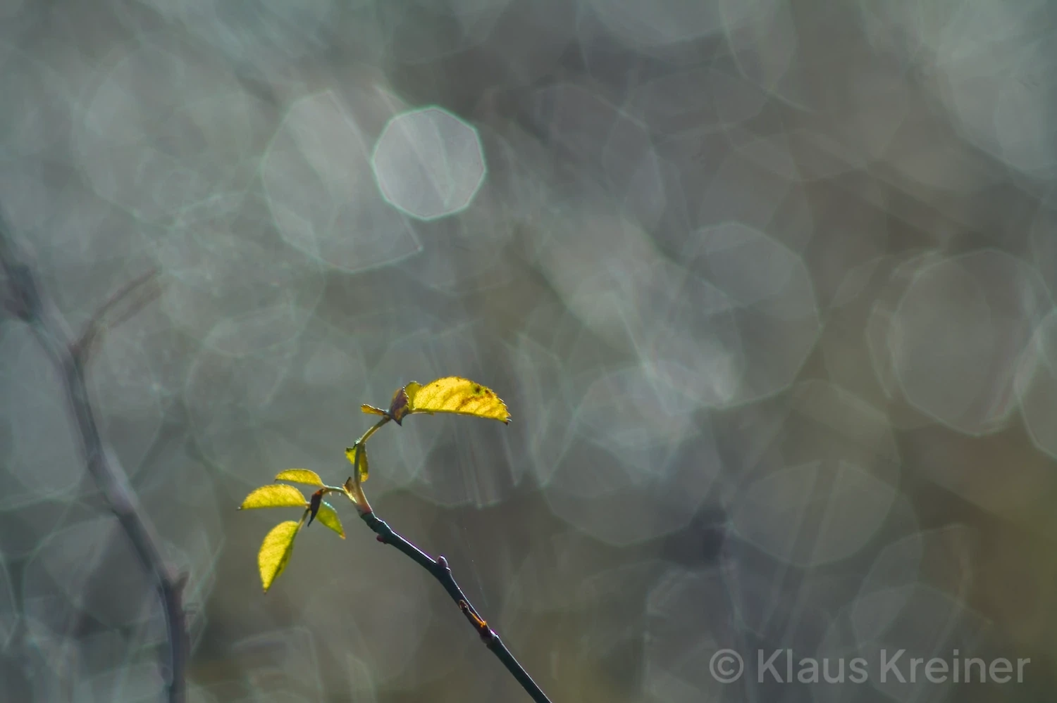 aus der reihe