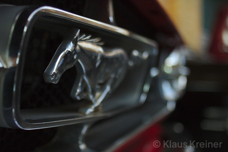 Anfang November in einer Remise. Nahaufnahme des Mustang-Emblems am Kühlergrill eines Ford-Autos.