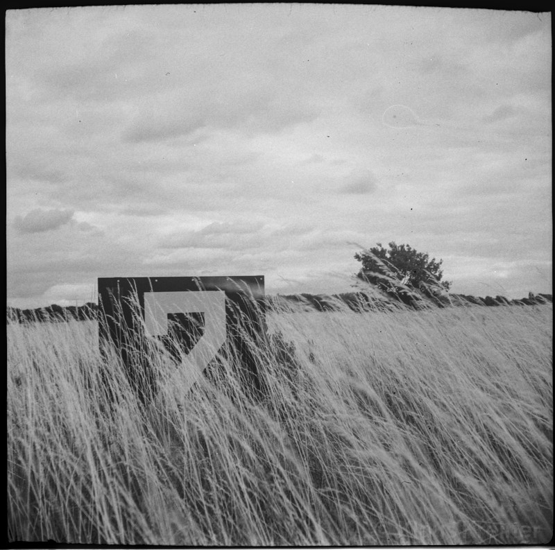 Ein Ausschnitt vom Tempelhofer Feld in SW.