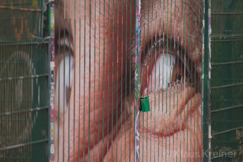 Mitte Februar 2014: Tor-Kunst an der Straße 645 in Berlin.